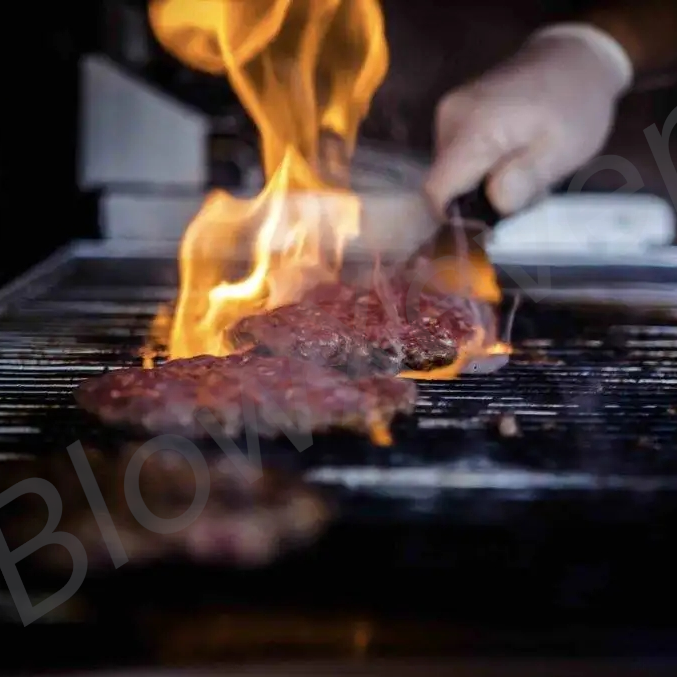 Servicekräfte für Events mieten - Personal von BlowXevents in Uchte